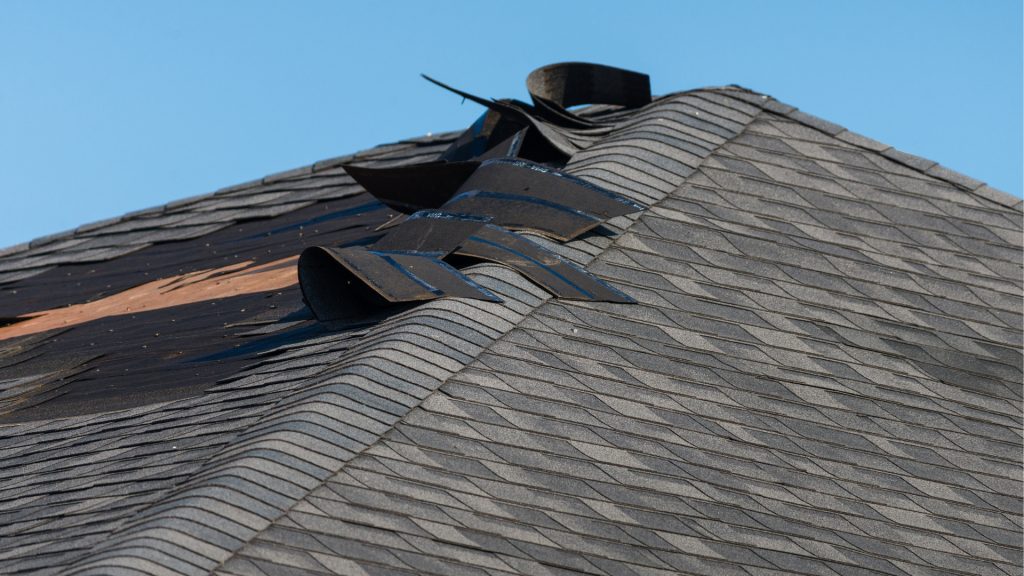 Professional Roofing Contractors