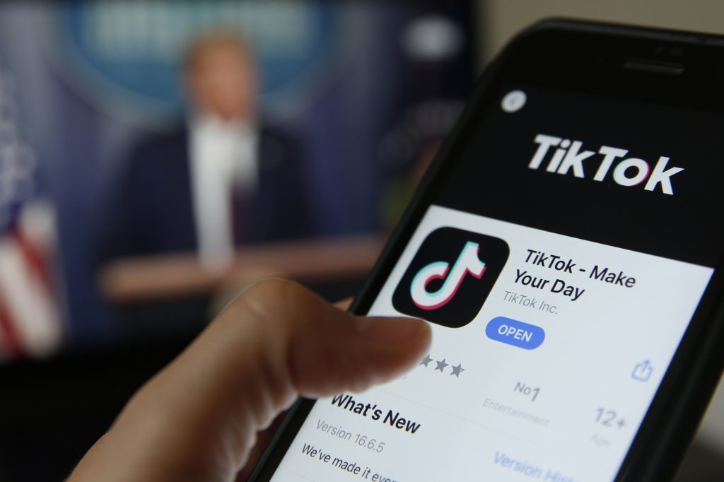 TikTok Video Downloader 